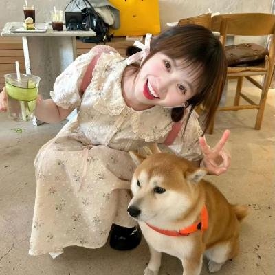 青苔